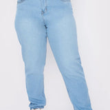 Vita Plus Size Straight Leg Jeans - Light Blue