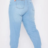 Vita Plus Size Straight Leg Jeans - Light Blue
