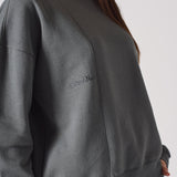 REGULAR CREW NECK JUMPER - GREY